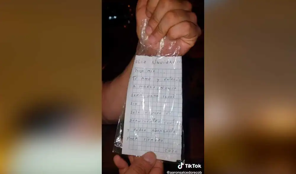 Desliza las imágenes para ver el sentido ‘saludo’ que hizo un padre para su bebé quien falleció meses atrás. Foto: captura de TikTok/@aaronsalcedorecob