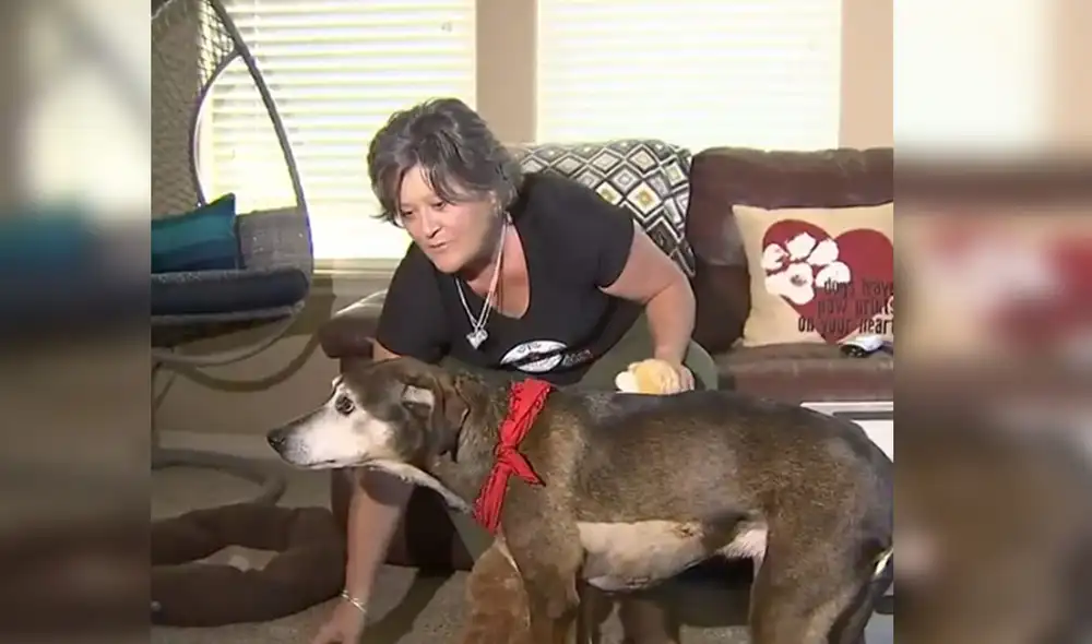 Desliza para ver más imágenes de este emotivo reencuentro entre un perro y su dueña, después de tres años. Foto: captura de Fox 23