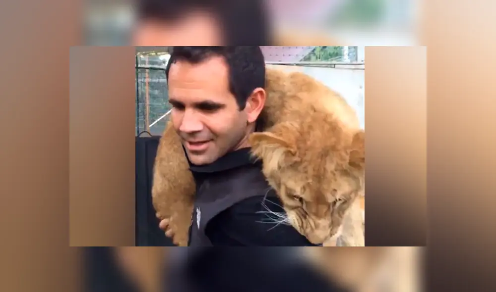 Desliza hacia la izquierda para ver la reacción de una leona bebé. Video de Facebook.