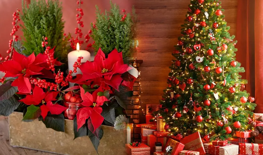 Los colores verde y rojo se han vuelto característicos de la Navidad; además del dorado y el azul. Foto: composición LR/Milenio/Ideas decoración