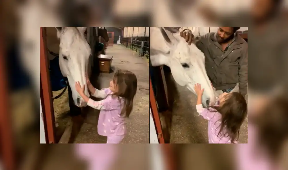 Facebook viral: niña consuela a caballo que se puso a llorar tras enterarse que iba a ser vendido