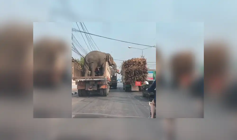 Desliza para ver los detalles del video viral de YouTube. Foto: Captura. Desliza para ver los detalles del video viral de YouTube. Foto: Captura.