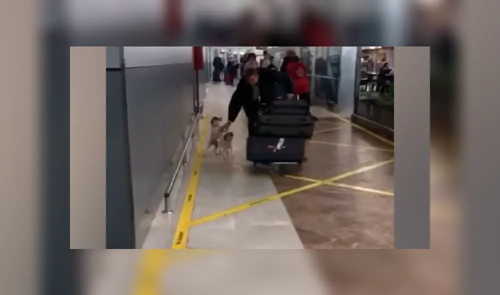 Desliza a la izquierda para ver más fotos sobre el conmovedor reencuentro. (Foto: captura) Desliza a la izquierda para ver más fotos sobre el conmovedor reencuentro. (Foto: captura)