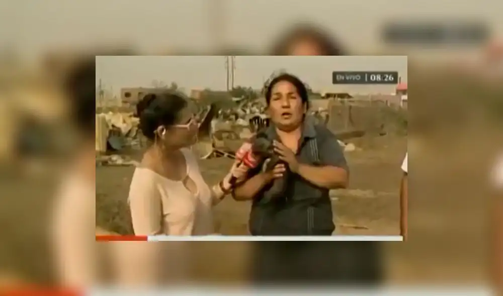 Twitter: Mujer intentó “amamantar” a cerdo bebé tras desborde del río Huaycoloro | VIDEO