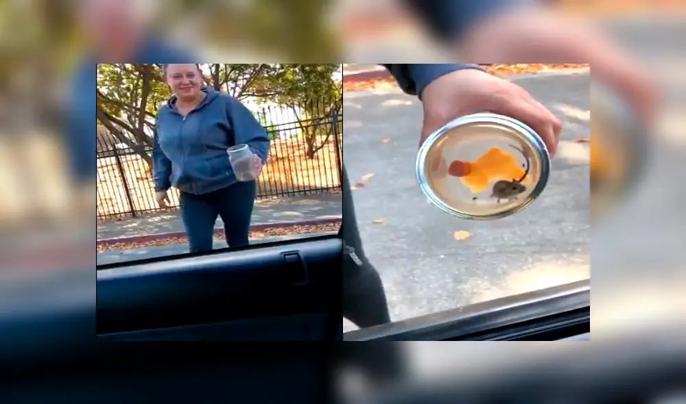 Joven captura una rata, se la muestra a su amiga y desenlace sorprende a miles [VIDEO]