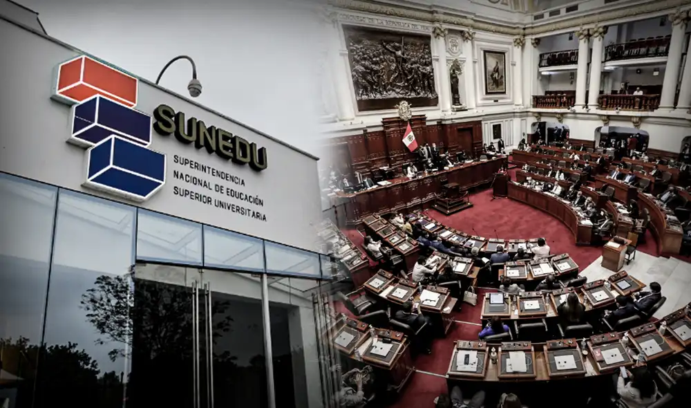 Ambos proyectos fueron aprobados el 10 de diciembre del año pasado. Foto: composición Jazmin Ceras / La República