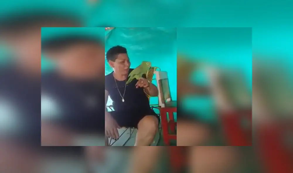 Desliza para ver los detalles del video viral publicado en YouTube. Foto: Captura.