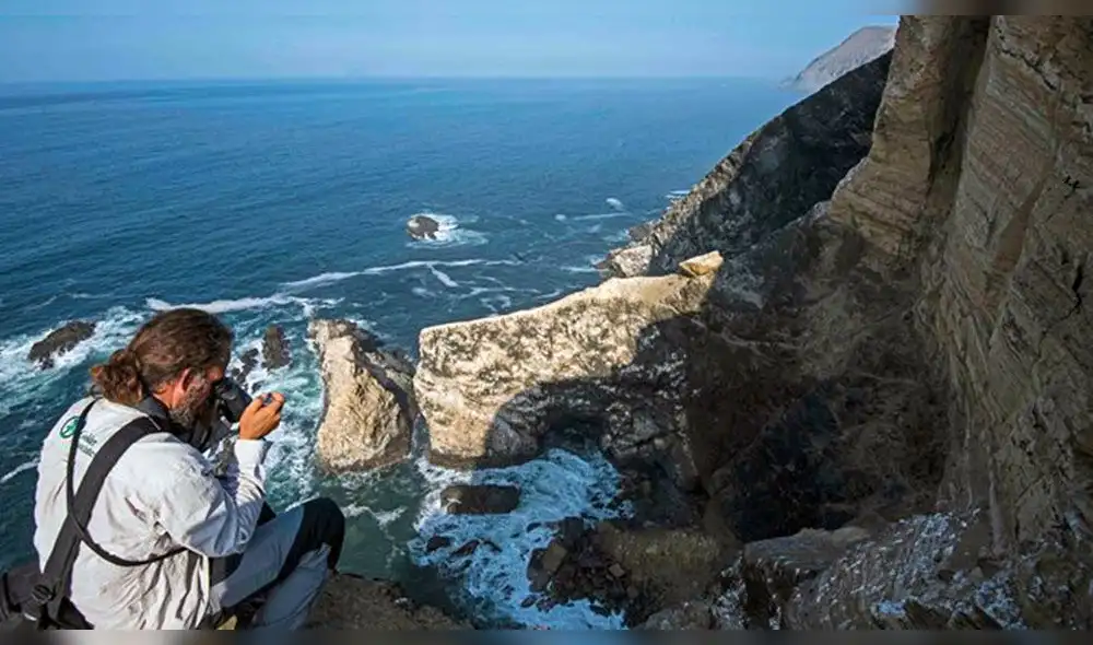 Paracas: OEA premian el monitoreo de especies marinas