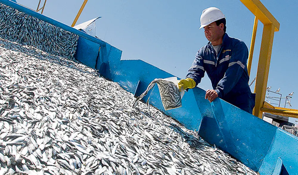 Bajo sospecha. La procuradora Villegas presume que 4 pesqueras industriales podrían haber recibido información filtrada. Bajo sospecha. La procuradora Villegas presume que 4 pesqueras industriales podrían haber recibido información filtrada.