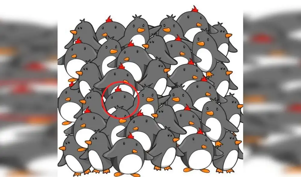 Desliza las imágenes hacia la izquierda para saber la respuesta correcta de este reciente ‘challenge’ de Facebook. Foto: Napsix.