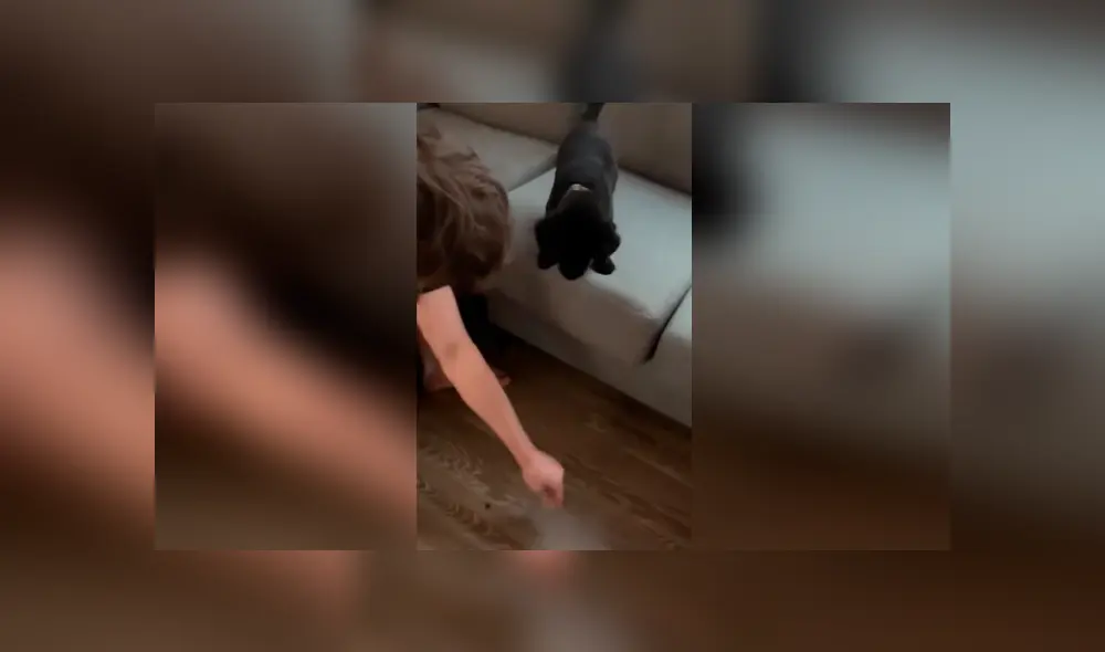 Desliza las imágenes hacia la izquierda para apreciar la noble acción de un joven para ayudar a su perro bebé. Foto: Captura. Desliza las imágenes hacia la izquierda para apreciar la noble acción de un joven para ayudar a su perro bebé. Foto: Captura.