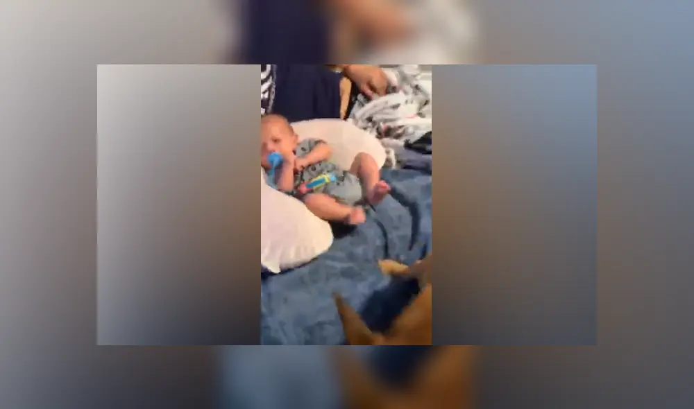 Desliza hacia la izquierda para ver las imágenes del viral de Facebook. Foto: Captura. Desliza hacia la izquierda para ver las imágenes del viral de Facebook. Foto: Captura.