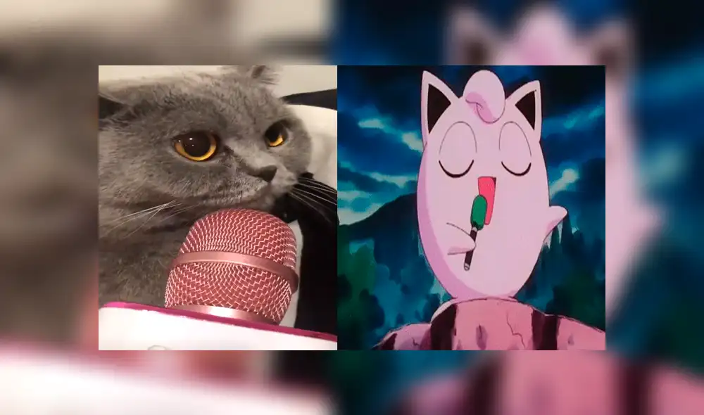 Facebook viral: gato sorprende a usuarios al cantar como pokémon 'Jigglypuff' [VIDEO] 