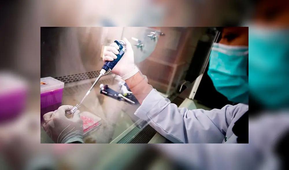 Universidad de Oxford señala que la vacuna contra la COVID-19 no estaría lista a finales de año. (Foto: Diego Azubel / EFE) Universidad de Oxford señala que la vacuna contra la COVID-19 no estaría lista a finales de año. (Foto: Diego Azubel / EFE)