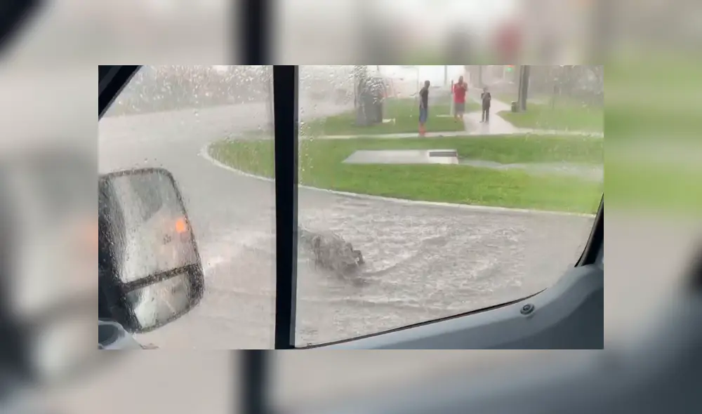 Un enorme cocodrilo generó el tráfico al cruzar una concurrida carretera en medio de la tormenta, en Estados Unidos. Un enorme cocodrilo generó el tráfico al cruzar una concurrida carretera en medio de la tormenta, en Estados Unidos.