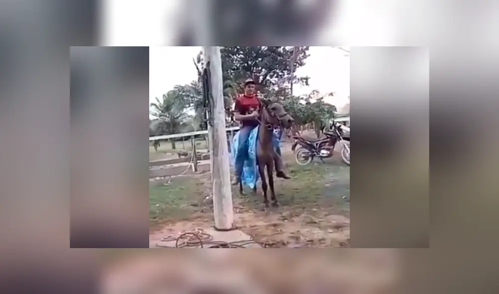 Facebook viral: chico confunde mula salvaje con caballo, se monta y pasa vergüenza [VIDEO] 