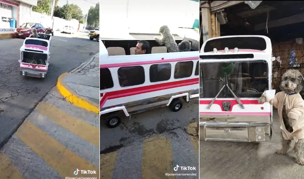 El video ha alcanzado más de cuatro millones de reproducciones en TikTok. Foto: composición LR/captura de TikTok/@joseriveromendez El video ha alcanzado más de cuatro millones de reproducciones en TikTok. Foto: composición LR/captura de TikTok/@joseriveromendez