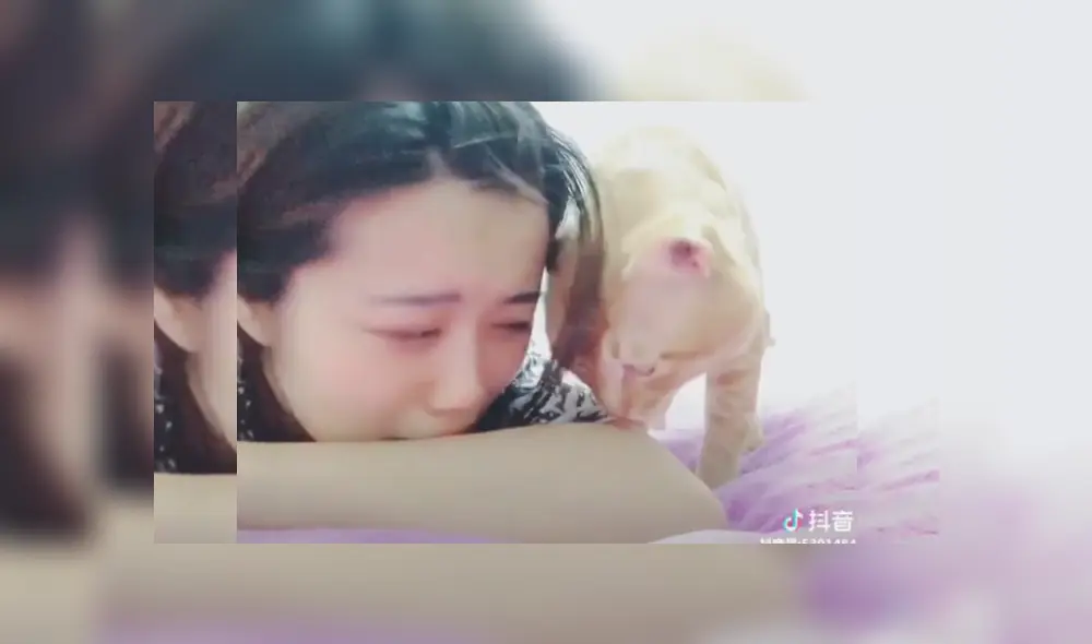 Video es viral en TikTok. La joven fingió llorar delante de su gato, sin imaginar la peculiar conducta que tendría el felino al verla aparentemente sufriendo. Video es viral en TikTok. La joven fingió llorar delante de su gato, sin imaginar la peculiar conducta que tendría el felino al verla aparentemente sufriendo.
