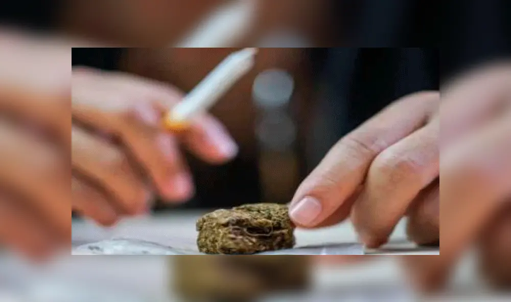 Empresa ofrece millonario sueldo a personas que ‘prueben’ la calidad de su marihuana