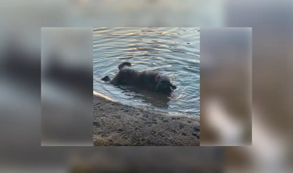 Desliza para ver los detalles de esta triste historia de Facebook. Foto: Captura.