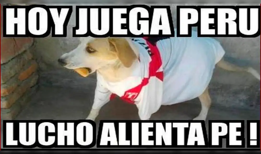 Perú vs Escocia: Mira lo divertidos memes que alegraron la previa del amistoso [FOTOS]