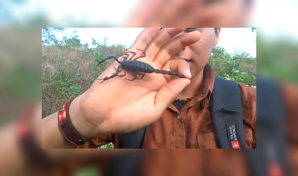 YouTube viral: joven se deja picar por letal alacrán, sin imaginar lo que sufriría