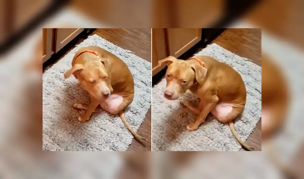 Desliza la imagen compartida en YouTube para verlas todas.