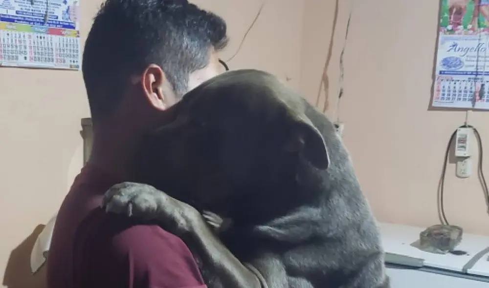 Roberto y Ares se reencontraron después de seis largos meses. Foto: Captura/Facebook/Roberto Sotelo