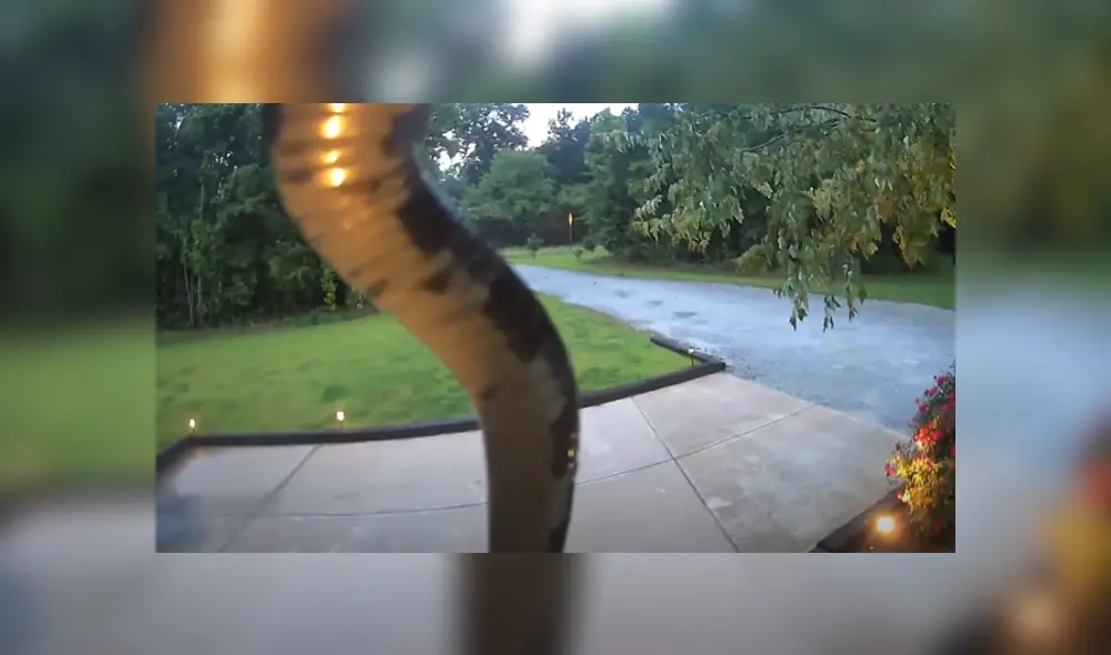 Desliza hacia la izquierda para ver las imágenes del viral de Facebook. Desliza hacia la izquierda para ver las imágenes del viral de Facebook.