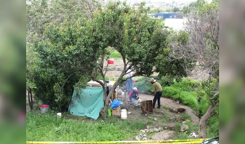 Personas sacuden perales y cocinan timpusca (fotos: Alvaro Carrasco)