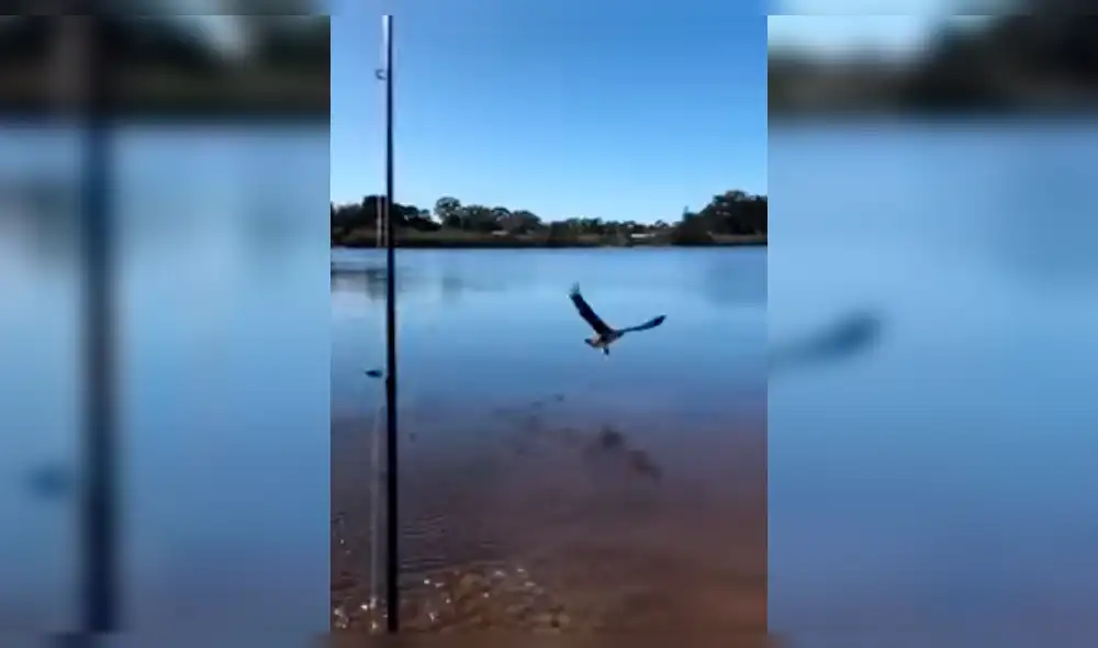 Facebook: se asustó al regresar un pez a lago y ocurre algo espeluznante [VIDEO]