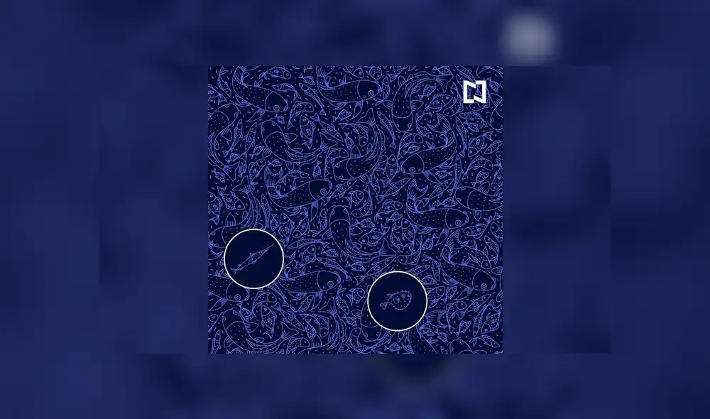 Desliza la imagen de Facebook para ver todas las fotos. Desliza la imagen de Facebook para ver todas las fotos.