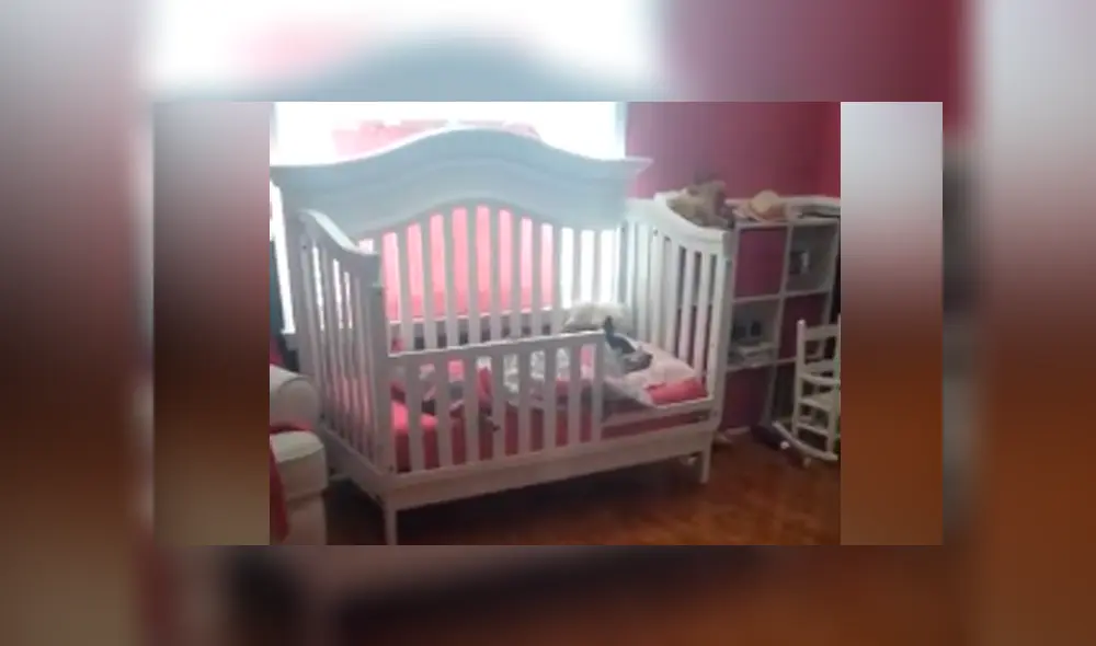 Un video viral de YouTube registró Lo que hacía un perro en ausencia de sus amos. Un video viral de YouTube registró Lo que hacía un perro en ausencia de sus amos.