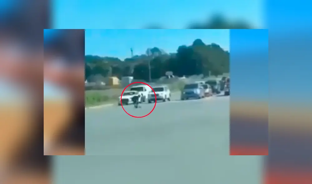 El hombre fue el único conductor que se percató del indefenso animal y corrió para auxiliarlo. La conmovedora escena se ha hecho viral en YouTube El hombre fue el único conductor que se percató del indefenso animal y corrió para auxiliarlo. La conmovedora escena se ha hecho viral en YouTube