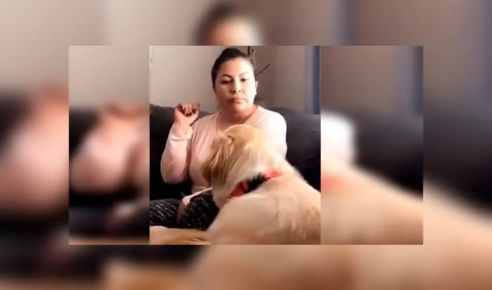 La mujer protagonizó una divertida ‘pelea’ con su perro, luego de que este le respondiera de una peculiar forma cuando lo estaba regañando. La escena se ha hecho viral en Facebook La mujer protagonizó una divertida ‘pelea’ con su perro, luego de que este le respondiera de una peculiar forma cuando lo estaba regañando. La escena se ha hecho viral en Facebook
