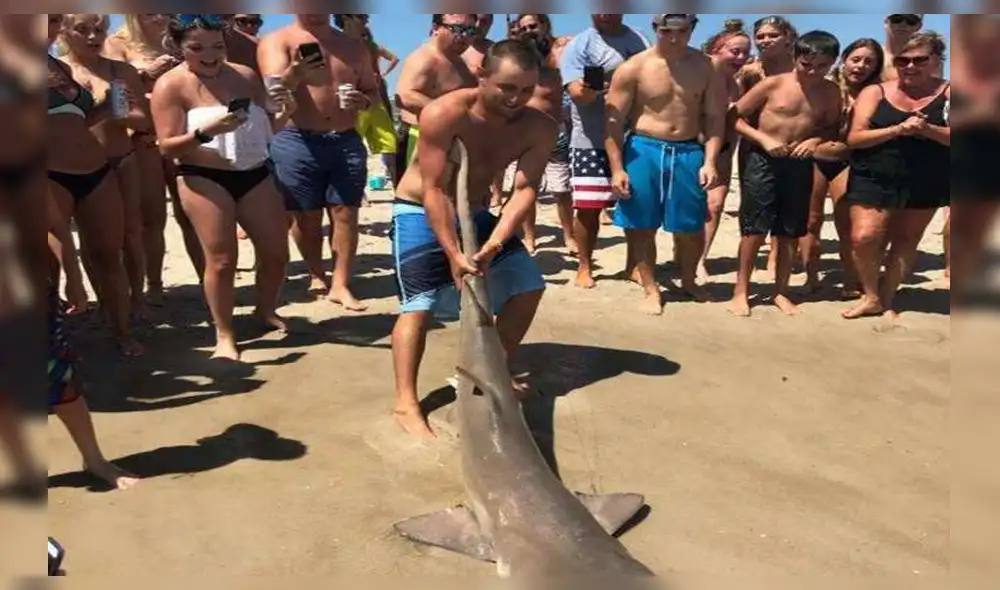 Twitter: Bañistas sacan a un tiburón del agua para tomarse ‘selfies’ [FOTO]