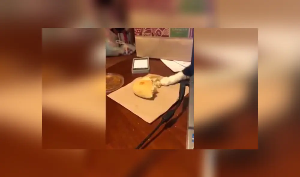 Desliza las imágenes hacia la izquierda para apreciar la sorpresa que se llevó un joven saber quien se robaba sus panes. Desliza las imágenes hacia la izquierda para apreciar la sorpresa que se llevó un joven saber quien se robaba sus panes.