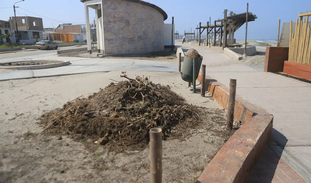Áreas verdes en la mayor parte del malecón ya no existen debido a la falta de agua y cuidado. Foto: Clinton Medina/La República.