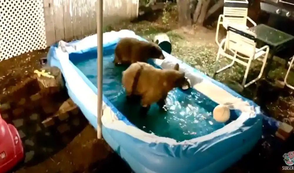 Desliza hacia la izquierda para ver las imágenes del video viral. Foto: Captura de YouTube. Desliza hacia la izquierda para ver las imágenes del video viral. Foto: Captura de YouTube.