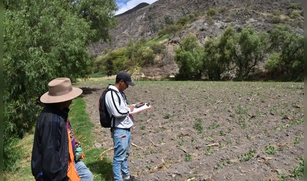 Declaran en emergencia 29 provincias del norte del país por déficit hídrico Declaran en emergencia 29 provincias del norte del país por déficit hídrico