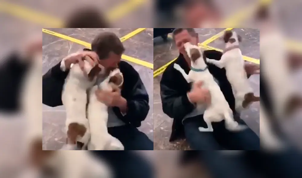 Desliza a la izquierda para ver este gesto que ha conmovido a los usuarios de YouTube. Foto: Captura. Desliza a la izquierda para ver este gesto que ha conmovido a los usuarios de YouTube. Foto: Captura.