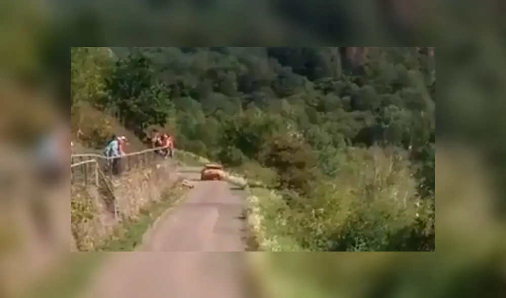 El hombre vivió momentos de pánico al caer de una altura de más de tres metros. Foto: captura El hombre vivió momentos de pánico al caer de una altura de más de tres metros. Foto: captura