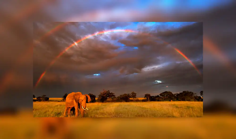 Netflix: Salma Hayek será la narradora de "Nuestro Planeta" [VIDEO]