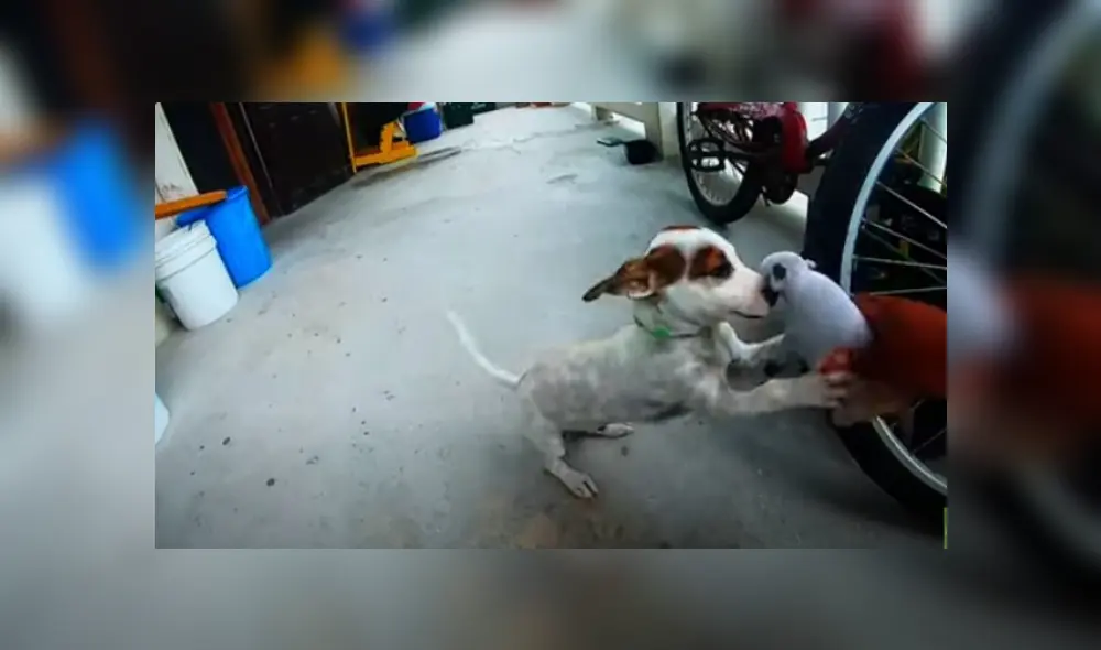 Desliza hacia la izquierda para ver más del video viral. Fotocaptura: YouTube Desliza hacia la izquierda para ver más del video viral. Fotocaptura: YouTube