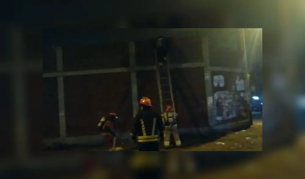 Bomberos del distrito acudieron al llamado de los serenos, quienes ayudaron a atender la emergencia. (Foto: Captura de video)