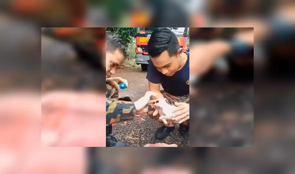 Hombre encuentra un gato ahogado, masajea su corazón y sucede algo conmovedor [VIDEO] 