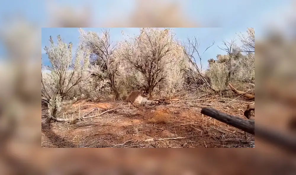 Desliza para ver los momentos más impactantes del video que se hizo viral en YouTube. Desliza para ver los momentos más impactantes del video que se hizo viral en YouTube.