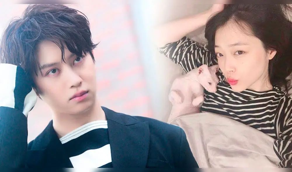 Heechul habría adoptado el gato de Sulli, tras su repentina muerte.