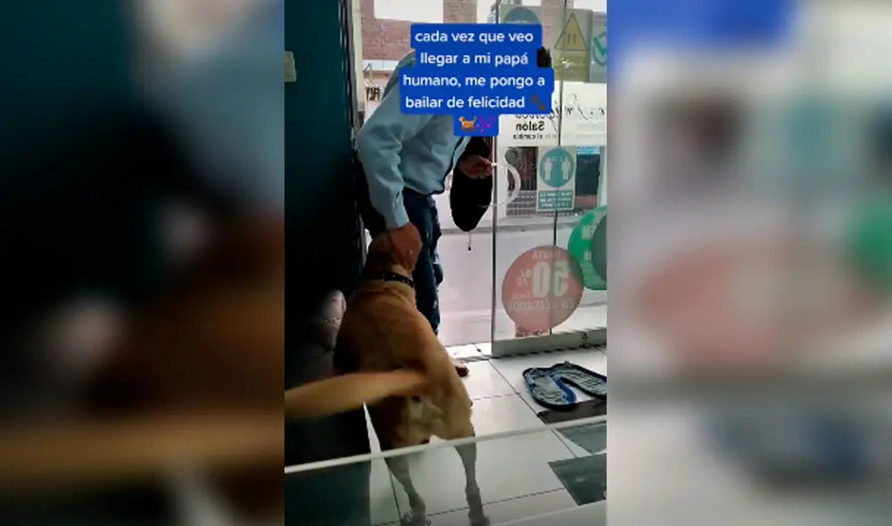 Desliza las imágenes hacia la izquierda para apreciar la emoción de un perro cuando volvió a ver a su dueño. Foto: Captura de Facebook Desliza las imágenes hacia la izquierda para apreciar la emoción de un perro cuando volvió a ver a su dueño. Foto: Captura de Facebook
