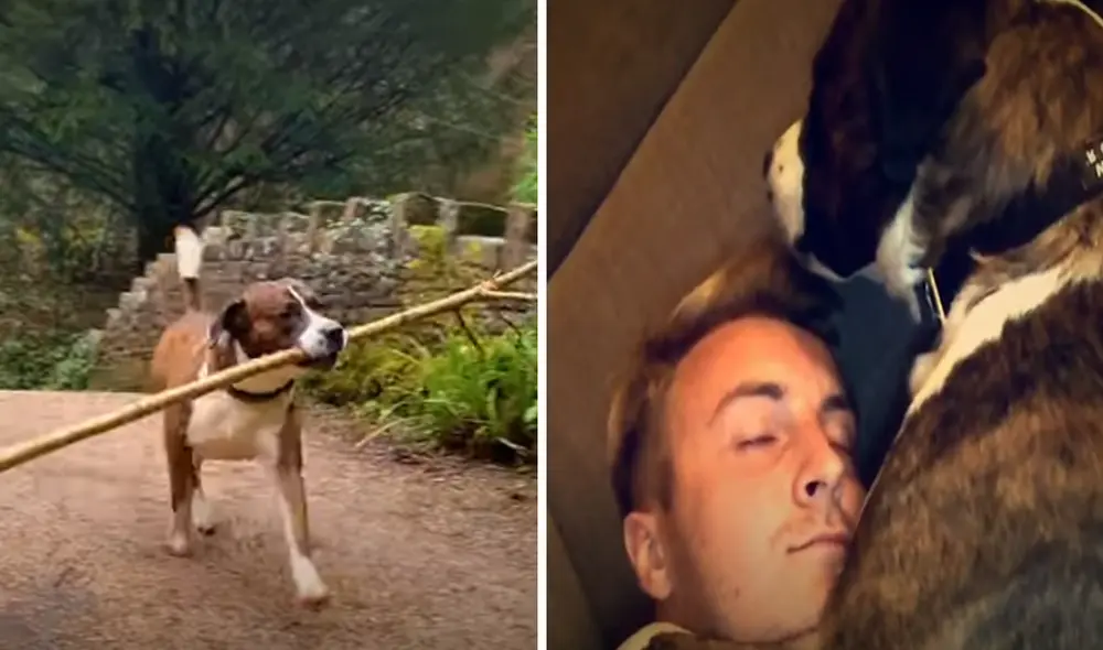 Desliza hacia la izquierda para ver las imágenes del video viral. Foto: Captura de YouTube.